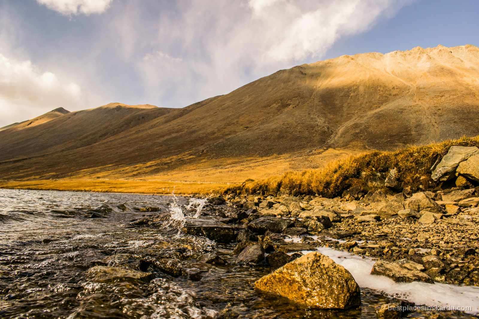 Golden grassland and a glacial stream on the Deosai plateau at over 4,000 metres