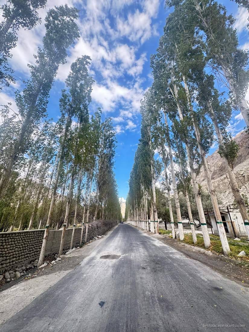 Poplar-lined road approaching Khaplu, 103 km east of Skardu