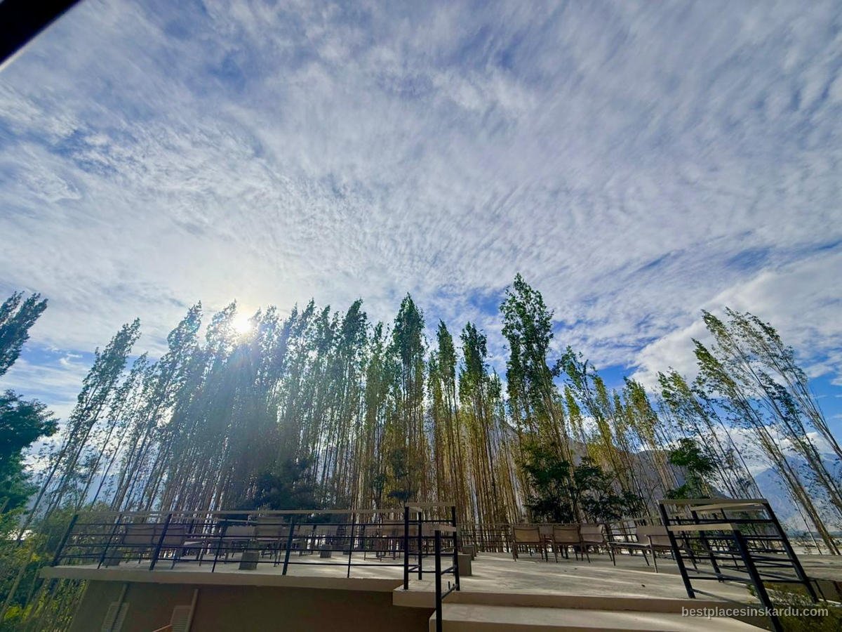 Poplar trees in Shigar valley near Skardu at sunrise
